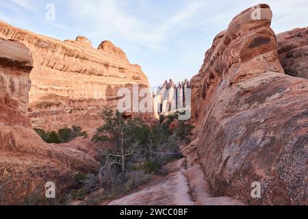 Le sentier primitif dans le parc national des arches mène vers les nageoires rocheuses. Cette section du sentier est située dans la section jardin du diable du parc. Banque D'Images