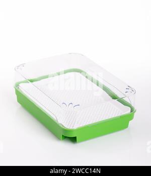 Kit de culture de cressons. Plateau de germination vert avec tamis blanc et couvercle transparent. Ensemble de germination pour germer des graines et pour faire pousser des pousses. Banque D'Images