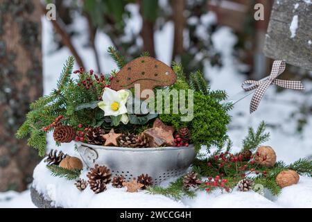 décoration silvester avec helleborus niger, hèbe et agaric de mouche rouille dans une passoire vintage Banque D'Images