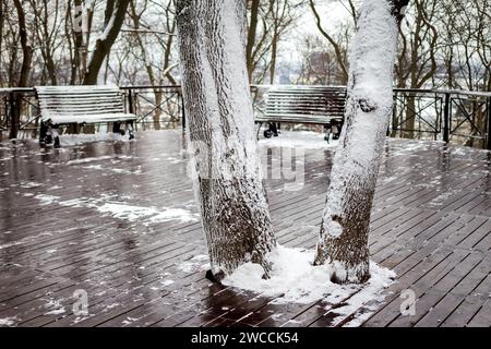 KIEV, UKRAINE - 15 JANVIER 2024 - des arbres enneigés sont aperçus près des bancs sur la terrasse du parc de la colline de Saint Volodymyr en hiver, Kiev, capitale de l'Ukraine. Banque D'Images