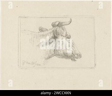 Tête de vache, Pieter Gerardus van OS, 1812 imprimer pays-Bas papier gravure vache Banque D'Images