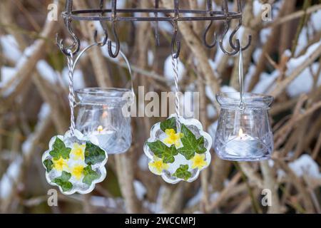 arrangement d'hiver avec des figures de glace avec des fleurs de jasmin d'hiver et des feuilles de lierre et des lanternes de table Banque D'Images