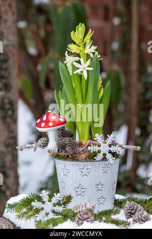 décoration silvester avec jacinthe en pot et agaric de mouche de verre dans le jardin d'hiver Banque D'Images