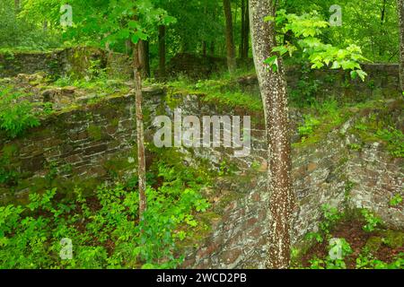 Ruines de la tannerie de Lehigh, parc national des Gorges de Lehigh, en Pennsylvanie Banque D'Images