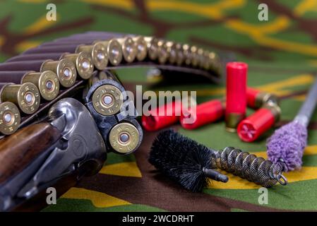 Fusil de chasse et munitions avec brosses pour le nettoyage des armes reposant sur un fond de camouflage. Mise au point sélective. Banque D'Images