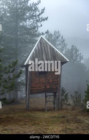 Observatoire de chasse sur le brouillard dans la forêt. Banque D'Images