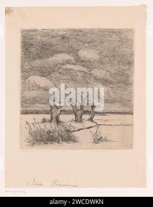 Paysage avec des saules pollard et deux oiseaux dans le Riet, Theodoor Hannon, 1861 - 1910 papier d'impression gravure des paysages. oiseaux. arbres : saule Banque D'Images