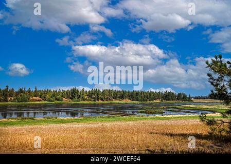 Slavin Pond, zone de conservation James T. Slavin, comté de Spokane, Washington Banque D'Images