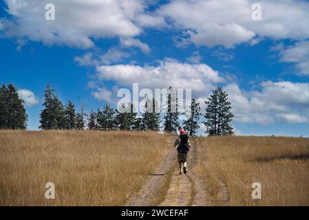 James T. Slavin conservation Area, comté de Spokane, Washington Banque D'Images