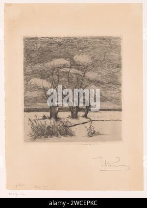 Paysage avec des saules pollard et deux oiseaux dans le Riet, Theodoor Hannon, 1861 - 1910 papier d'impression gravure des paysages. oiseaux. arbres : saule Banque D'Images