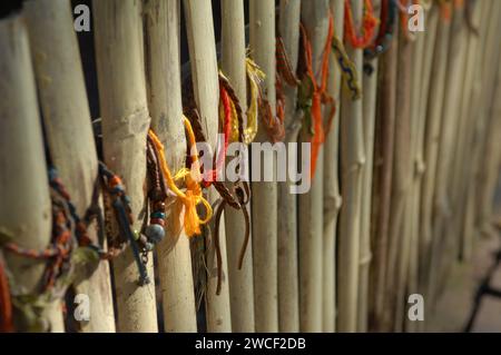 Hommage aux victimes assassinées attachées sur des arbres et des clôtures, Centre génocidaire Choung EK, Phnom Penh, Cambodge. Banque D'Images