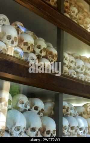 Crânes humains exposés au Choung EK Genocidal Center, Phnom Penh, Cambodge. Banque D'Images