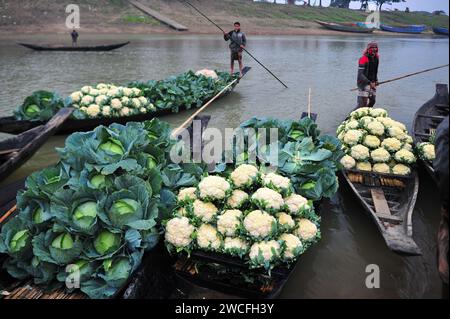 10 janvier 2024 Sylhet-Bangladesh : des centaines de fermiers sont venus des zones reculées de l'upazila pour vendre des légumes cultivés par eux-mêmes dans des bateaux à Charbazar de la rivière Surma, près du marché de Kanighat upazila Kanighat. Pendant plus de 50 ans après la guerre d’indépendance du Bangladesh, les agriculteurs locaux vendent des légumes ici pendant les mois Paus, Magh et Phalguna de l’année civile bengali, et les commerçants de différents marchés de Sylhet achètent et vendent des légumes au prix de gros. La photo a été prise entre 6 h et 7:30 h le mercredi. Le marché est assis pendant 2/3 heures chaque jour Banque D'Images