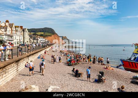 Sidmouth Devon par une très chaude journée de septembre, les vacanciers et les touristes se détendent sur la plage de galets, Angleterre, Royaume-Uni, 2023 Banque D'Images