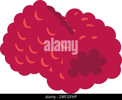 Framboises fraîches, baies sucrées biologiques et naturelles Illustration de Vecteur