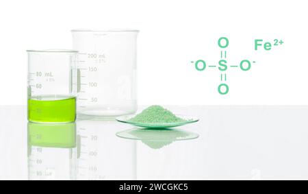 Sulfate ferreux dans un verre de montre chimique avec structure chimique placer à côté du sulfate de fer (II) liquide dans le bécher. Vue latérale Banque D'Images