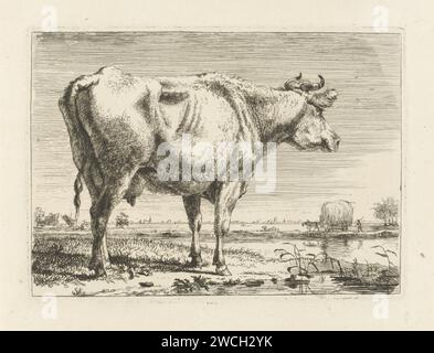 Vache debout, Pieter Gerardus van OS, 1798 imprimer pays-Bas papier gravure vache Banque D'Images