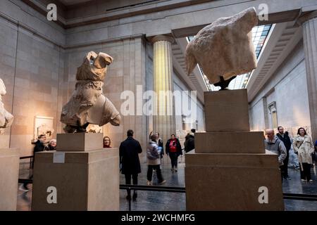 Sculptures du Parthénon de la Grèce antique, fragments qui sont collectivement connus sous le nom de marbres du Parthénon alias marbres d'Elgin au British Museum le 4 décembre 2023 à Londres, Royaume-Uni. Les marbres d'Elgin sont considérés comme des biens volés par la Grèce, et ont régulièrement exigé leur retour, tandis que le musée de l'Acropole, qui abrite les sculptures restantes, garde un espace vide pour eux dans son exposition actuelle. Le musée britannique réplique, affirmant que les sculptures ont été légalement acquises par Lord Elgin à la suite d'un accord avec les dirigeants ottomans. Le British Museum est un musée public dé Banque D'Images