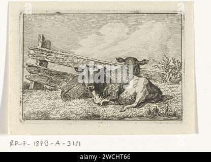 Deux veaux couchés par une clôture, Anthony Oberman, 1808 estampes Amsterdam papier gravure de bovins Banque D'Images