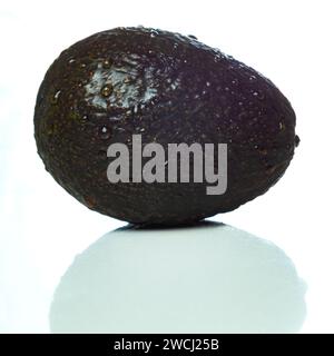 Un avocat mûr isolé avec des gouttelettes d'eau sur sa peau verte Banque D'Images
