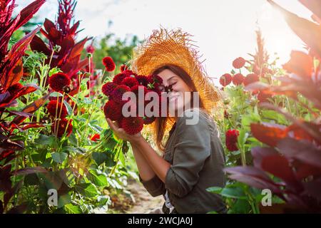 Portrait d'un jardinier souriant tenant bouquet de dahlias pompons rouges dans le jardin d'été au coucher du soleil. Femme cueillant des fleurs les sentant. Récolte d'été Banque D'Images