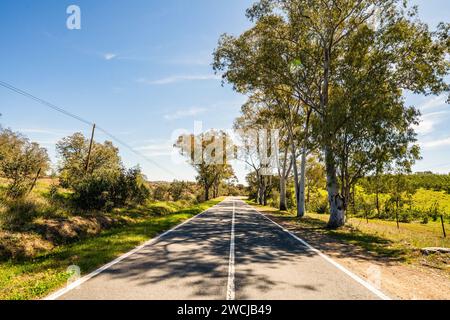 Beau paysage de l'Alentejo et célèbre route nationale N2, Almodovar, Portugal Banque D'Images