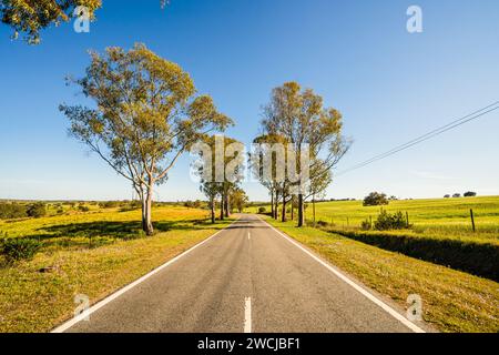 Beau paysage de l'Alentejo et célèbre route nationale N2, Almodovar, Portugal Banque D'Images