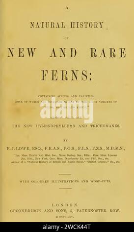 Une histoire naturelle de fougères nouvelles et rares. 1862, réimpression 1865 - Edward Joseph Lowe (page de titre). Banque D'Images