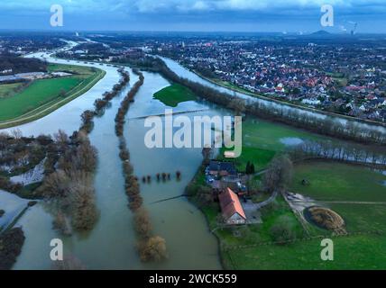 Dorsten, Rhénanie du Nord-Westphalie, Allemagne - inondation sur la Lippe, rivière dans la région de la Ruhr. Banque D'Images