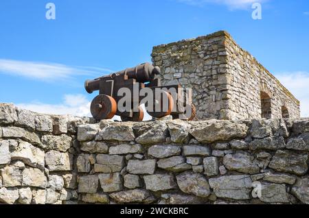 Canon sur les ruines du château royal médiéval de Checiny, voïvodie de Swietokrzyskie, Pologne. Banque D'Images