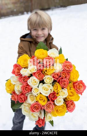 grand bouquet de nombreuses roses dans les mains d'un garçon. Fête des mères. Journée internationale de la femme. Saint Valentin. Une agréable surprise florale avec amour pour M. Banque D'Images