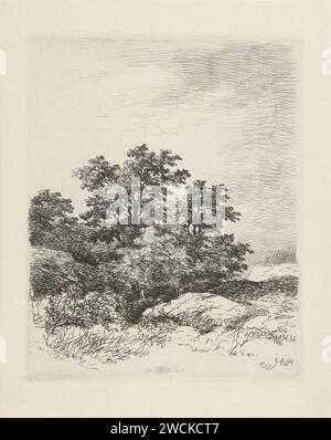 Paysage avec des arbres, Remigius Adrianus Haanen, 1859 imprimer papier Autriche. gravure d'arbres Banque D'Images