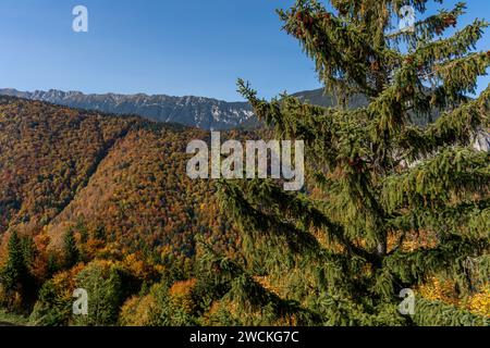 Cette superbe photographie aérienne capture la beauté époustouflante de la saison d'automne dans un paysage montagneux Banque D'Images