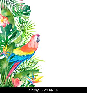 Bordure aquarelle, cadre de feuilles tropicales, strelitzia, plumeria et maca rouge. Plantes tropicales et oiseaux peints à la main. Clipart, un modèle pour une pos Banque D'Images