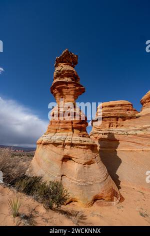 Le Chess Queen ou Totem Pole est une tour de grès érodée près des South Coyote Buttes, Vermilion Cliffs National Monument, Arizona. Banque D'Images