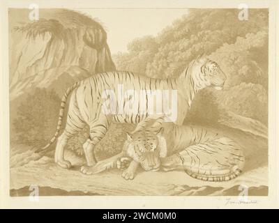 Deux tigres dans un paysage, Isaac van Haasterert, c. 1768 - 1834 imprimer Delft papier gravure bêtes de proies, animaux prédateurs : tigre. bêtes de proie, animaux prédateurs : tigre (+ animal(s) endormi(s)) Banque D'Images