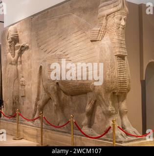 Lamassu assyrien (taureau ailé à tête humaine), palais de dur-Sharrukin, Khorsabad, Irak, aujourd'hui au musée de l'Irak, Bagdad, Irak Banque D'Images