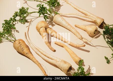 Gros plan de pile de racines de panais avec des feuilles vertes sur la surface légère. Concept d'alimentation saine Banque D'Images