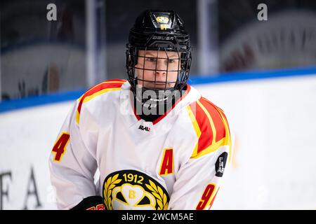 Stockholm, Stockholm, Suède. 16 janvier 2024. Brynas Anna Meixner pendant le match en SDHL entre Djurgarden IF et HV71 sur Hovet le 16 janvier à Stockholm (crédit image : © Johan Dali/ZUMA Press Wire) À USAGE ÉDITORIAL UNIQUEMENT! Non destiné à UN USAGE commercial ! Banque D'Images