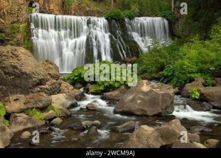 Milieu McCloud Falls, Shasta-Trinity National Forest, Californie Banque D'Images