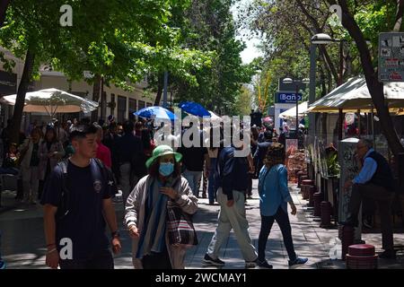 Santiago, Chili. Un marché de rue animé à Santiago. . Banque D'Images