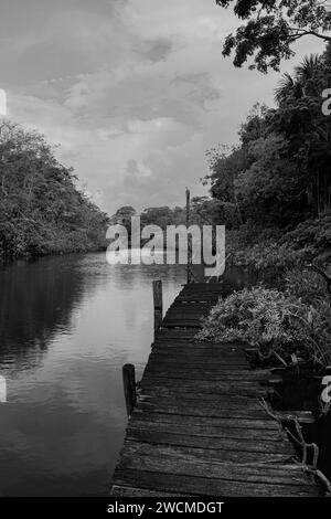 Jetée sur la rivière Acarouany, Guyane française Banque D'Images