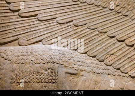 Détail de l'aile, lamassu assyrien (taureau ailé à tête humaine), palais de dur-Sharrukin, Khorsabad, Irak, maintenant dans le musée de l'Irak, Bagdad, Irak Banque D'Images