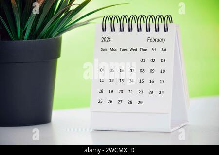 Calendrier de bureau de février 2024 avec plante en pot sur un bureau avec fond vert. Banque D'Images