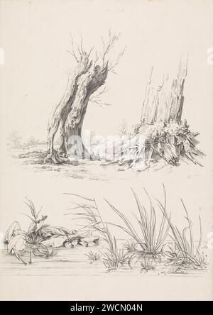 Deux arbres et une piscine avec des plantes aquatiques, Joannes Bemme, 1809 - 1841 imprimer il y a un trou dans la tribu du saule. Arbres à papier des pays-Bas. arbres (+ tige, tronc). piscine, flaque d'eau Banque D'Images