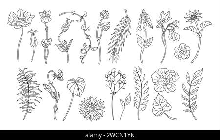 Ensemble de petites fleurs sauvages, vecteur d'art de ligne de plantes. Illustration de Vecteur