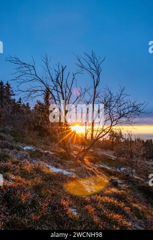 Paysage sur le Grosser Feldberg, région volcanique du Taunus. Une journée d'hiver nuageuse et ensoleillée, prairies, collines, neige et forêts avec vue sur l'hiver Banque D'Images