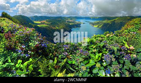Vue panoramique sur les lacs de cratère pittoresques Lagoa Verde et Lagoa Azul entouré de verdure luxuriante et de fleurs d'hortensia, cratère circulaire Banque D'Images