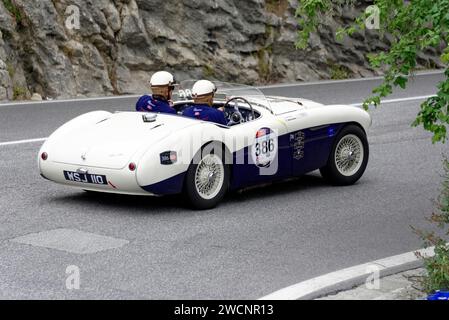 Mille Miglia 2014 ou 1000 Miglia, n ° 386, Austin Healey 100 S, construit en 1955, course de voitures classiques, Saint-Marin, Italie Banque D'Images