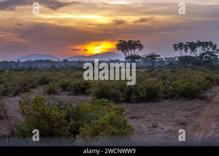 Lever de soleil dans le parc national de Samburu, vallée du Rift, Kenya, parc national de Samburu, Kenya Banque D'Images